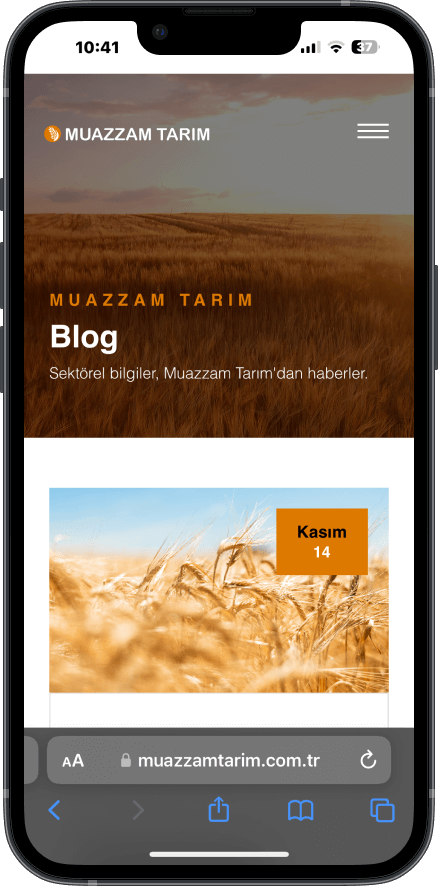 Muazzam Tarım Kurumsal web site tasarımı